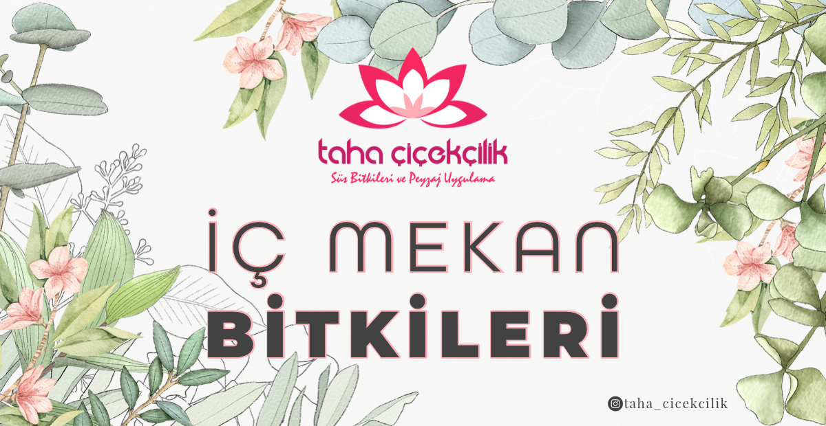 Ürünlere Git