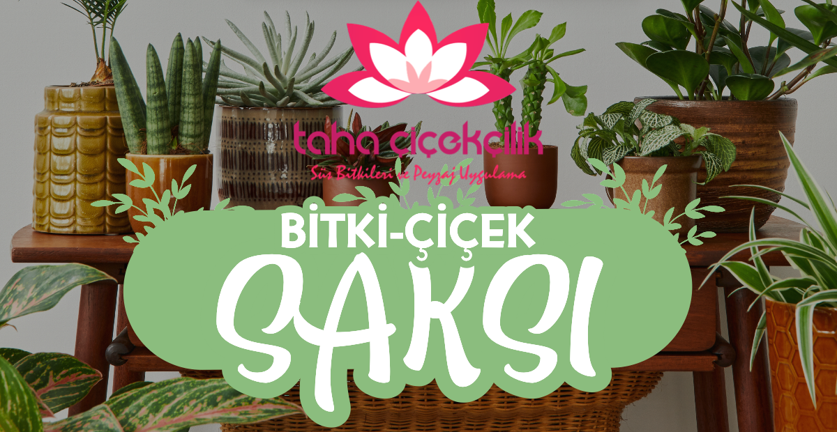 Ürünlere Git